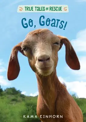 ¡Vamos, cabras! - Go, Goats!