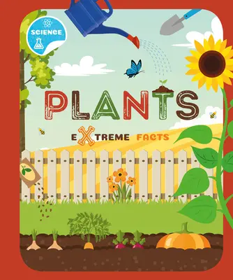 Plantas - Plants