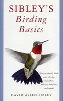 Sibley's Birding Basics