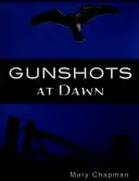 Disparos al amanecer (Sharp Shades) - Gunshots At Dawn  (Sharp Shades)