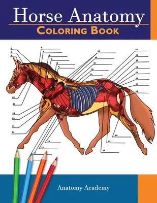 Libro para colorear de anatomía equina: Libro para colorear de anatomía equina con autocomprobación increíblemente detallada Regalo perfecto para estudiantes de veterinaria, amantes de los caballos y adultos - Horse Anatomy Coloring Book: Incredibly Detailed Self-Test Equine Anatomy Color workbook Perfect Gift for Veterinary Students, Horse Lovers & Adult