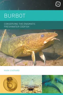 Lota: La conservación del enigmático bacalao de agua dulce - Burbot: Conserving the Enigmatic Freshwater Codfish