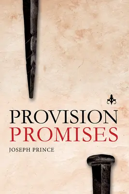 Promesas de provisión - Provision Promises