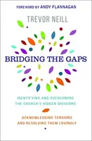 Salvando las distancias - Identificar y superar las divisiones ocultas de nuestra iglesia - Bridging the Gaps - Identifying and overcoming our church's hidden divisions