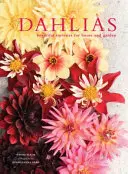 Dalias: hermosas variedades para el hogar y el jardín - Dahlias - Beautiful varieties for home and garden