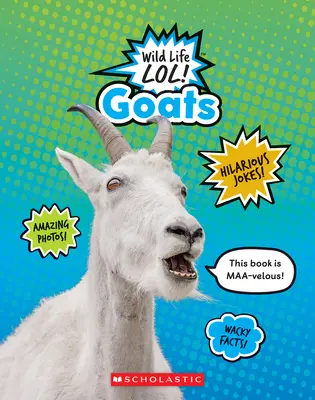 Cabras - Goats