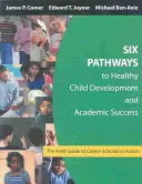 Seis vías para un desarrollo infantil saludable y el éxito académico: La guía de campo de las escuelas Comer en acción - Six Pathways to Healthy Child Development and Academic Success: The Field Guide to Comer Schools in Action