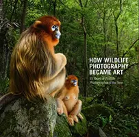 Cómo la fotografía de naturaleza se convirtió en arte: 55 años de Wildlife Photographer of the Year - How Wildlife Photography Became Art: 55 Years of Wildlife Photographer of the Year