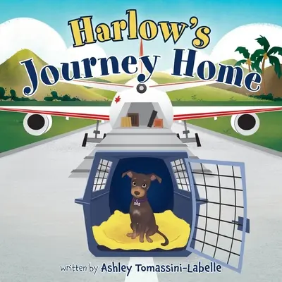 El viaje de Harlow a casa - Harlow's Journey Home