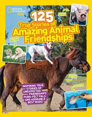125 historias reales de increíbles amistades entre animales - 125 True Stories of Amazing Animal Friendships
