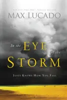 En el ojo de la tormenta: Jesús sabe cómo te sientes - In the Eye of the Storm: Jesus Knows How You Feel