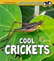 Grillos geniales - Cool Crickets