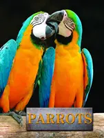 Loros - Parrots