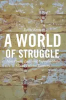 Un mundo de lucha: Cómo el poder, el derecho y la experiencia configuran la economía política mundial - A World of Struggle: How Power, Law, and Expertise Shape Global Political Economy