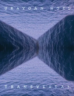 Transversal: Poemas - Transversal: Poems