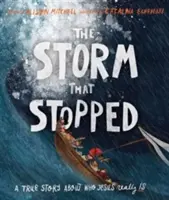 La tormenta que se detuvo: Una historia real sobre quién es Jesús en realidad - The Storm That Stopped: A True Story about Who Jesus Really Is