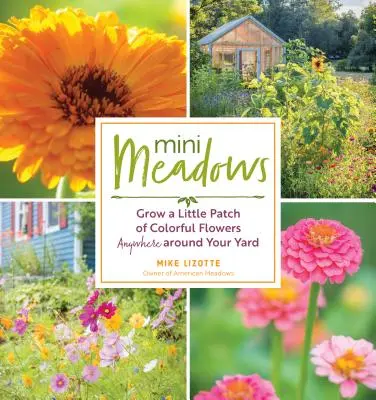 Mini prados: Cultive un pequeño huerto de flores de colores en cualquier lugar de su jardín - Mini Meadows: Grow a Little Patch of Colorful Flowers Anywhere Around Your Yard