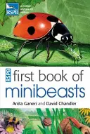 Primer libro de minibestias de la RSPB - RSPB First Book Of Minibeasts