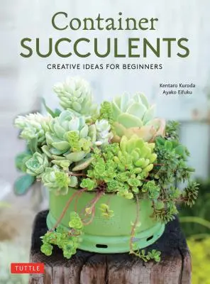 Suculentas en contenedor: Ideas creativas para principiantes - Container Succulents: Creative Ideas for Beginners