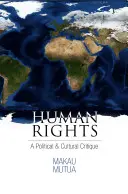 Derechos humanos: Una crítica política y cultural - Human Rights: A Political and Cultural Critique