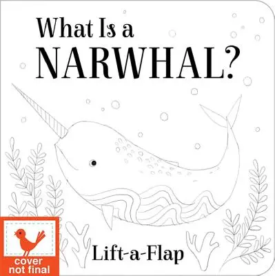 ¿Qué es un narval? - What Is a Narwhal?