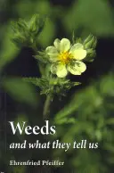 Las malas hierbas y lo que nos dicen - Weeds and What They Tell Us