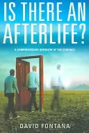 ¿Existe la vida después de la muerte? Una visión global de las pruebas - Is There an Afterlife?: A Comprehensive Overview of the Evidence