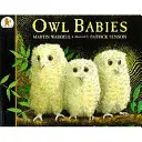 Los bebés búho - Owl Babies