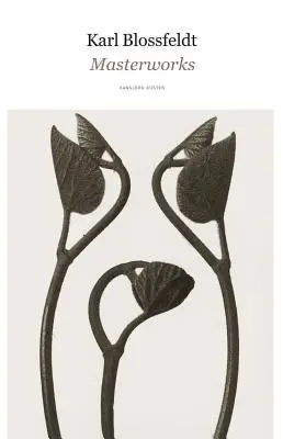 Karl Blossfeldt Obras maestras - Karl Blossfeldt: Masterworks