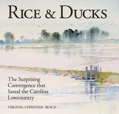 Rice & Ducks: La sorprendente convergencia que salvó el Lowcountry de Carolina - Rice & Ducks: The Surprising Convergence That Saved the Carolina Lowcountry