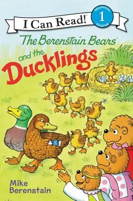 Los Osos Berenstain y los Patitos - The Berenstain Bears and the Ducklings