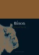 Bisonte - Bison