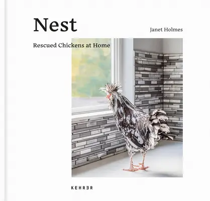 Nido: Pollos rescatados en casa - Nest: Rescued Chickens at Home