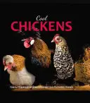 Pollos geniales - Cool Chickens