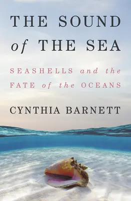 El sonido del mar: Las conchas marinas y el destino de los océanos - The Sound of the Sea: Seashells and the Fate of the Oceans