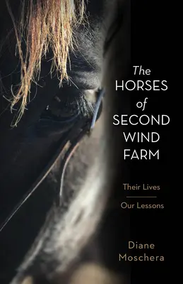 Los caballos de la granja Second Wind: Sus vidas - Nuestras lecciones - The Horses of Second Wind Farm: Their Lives - Our Lessons