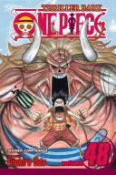 One Piece, Vol. 48, 48