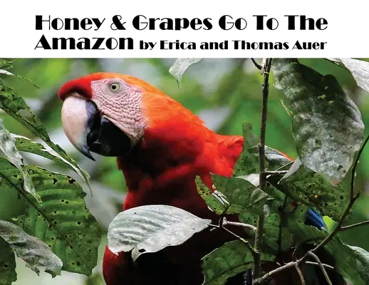 La miel y las uvas van al Amazonas - Honey & Grapes Go To The Amazon