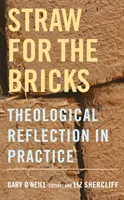 Paja para los ladrillos: La reflexión teológica en la práctica - Straw for the Bricks: Theological Reflection in Practice