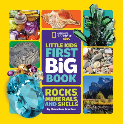 Little Kids First Big Book of Rocks, Minerals & Shells (El primer gran libro de rocas, minerales y conchas para niños) - Little Kids First Big Book of Rocks, Minerals & Shells