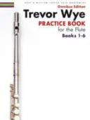 Trevor Wye - Libro de Práctica para Flauta - Edición Ómnibus Libros 1-6 - Trevor Wye - Practice Book for the Flute - Omnibus Edition Books 1-6