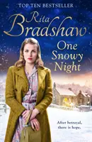 Una noche de nieve - One Snowy Night