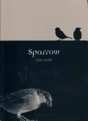 Gorrión - Sparrow