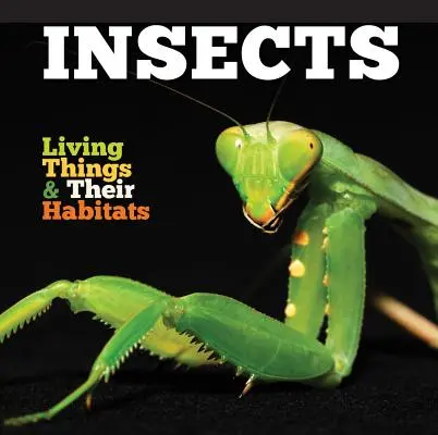 Insectos - Insects