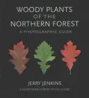 Plantas leñosas del bosque septentrional: Guía fotográfica - Woody Plants of the Northern Forest: A Photographic Guide