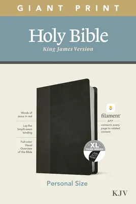 Biblia RVR tamaño personal con impresión gigante, edición con filamento (símil piel, negro/níquel, indexada) - KJV Personal Size Giant Print Bible, Filament Enabled Edition (Leatherlike, Black/Onyx, Indexed)