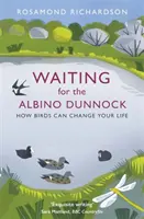 Esperando al correlimos albino: cómo las aves pueden cambiar tu vida - Waiting for the Albino Dunnock: How Birds Can Change Your Life