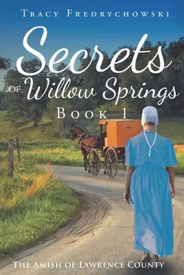 Secretos de Willow Springs - Libro 1: Los Amish del Condado de Lawrence - Secrets of Willow Springs - Book 1: The Amish of Lawrence County