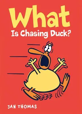 ¿Qué es perseguir al pato? - What Is Chasing Duck?