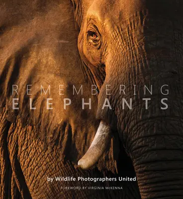 Recordando a los elefantes - Remembering Elephants